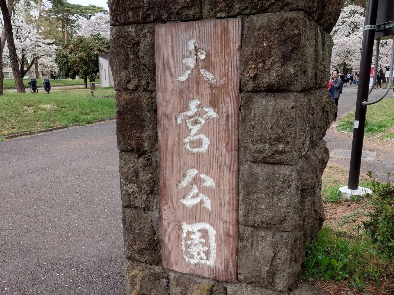 Monumento de piedra a la entrada del parque Ōmiya, en Japón, con el nombre 大宮公園 tallado en una placa de madera, entre cerezos en flor